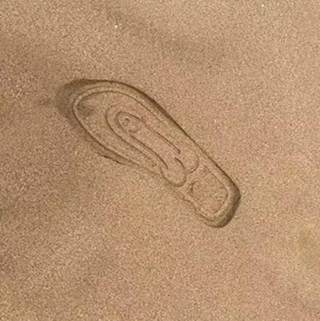 Ding A Ling Flip Flops